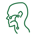 otorhinolaryngology
